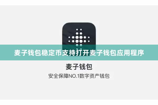 麦子钱包稳定币支持打开麦子钱包应用程序