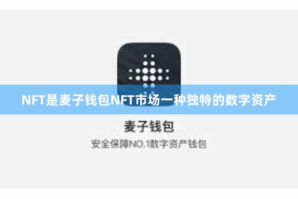 NFT是麦子钱包NFT市场一种独特的数字资产