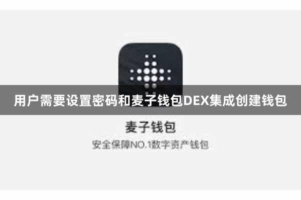 用户需要设置密码和麦子钱包DEX集成创建钱包