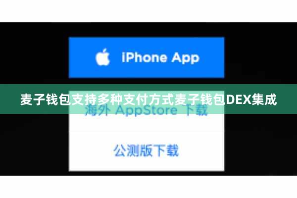 麦子钱包支持多种支付方式麦子钱包DEX集成