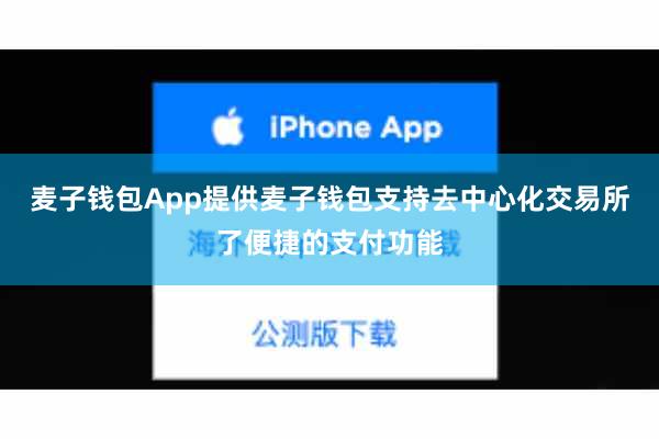 麦子钱包App提供麦子钱包支持去中心化交易所了便捷的支付功能