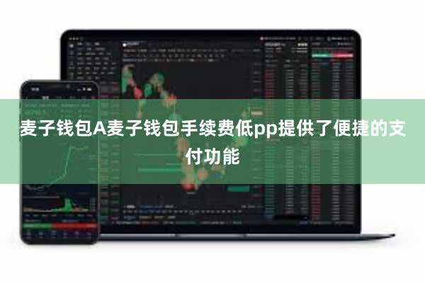 麦子钱包A麦子钱包手续费低pp提供了便捷的支付功能