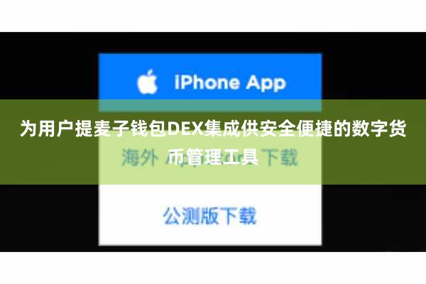 为用户提麦子钱包DEX集成供安全便捷的数字货币管理工具