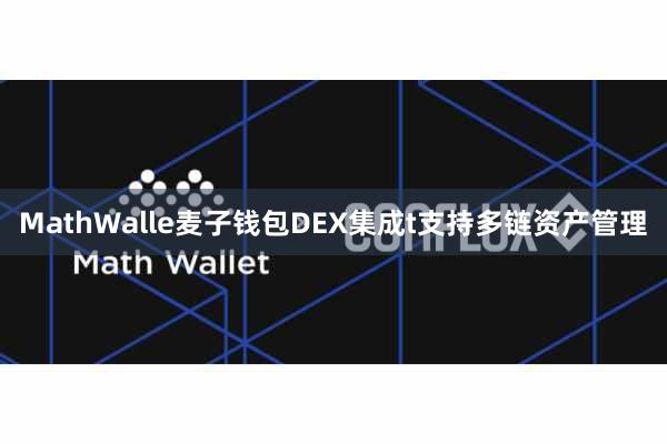 MathWalle麦子钱包DEX集成t支持多链资产管理