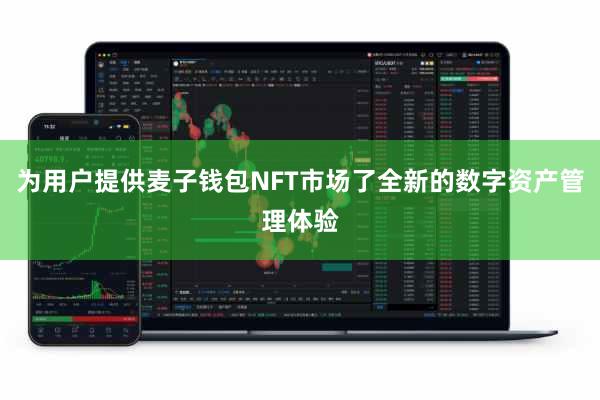 为用户提供麦子钱包NFT市场了全新的数字资产管理体验