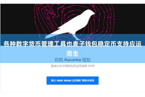 各种数字货币管理工具也麦子钱包稳定币支持应运而生