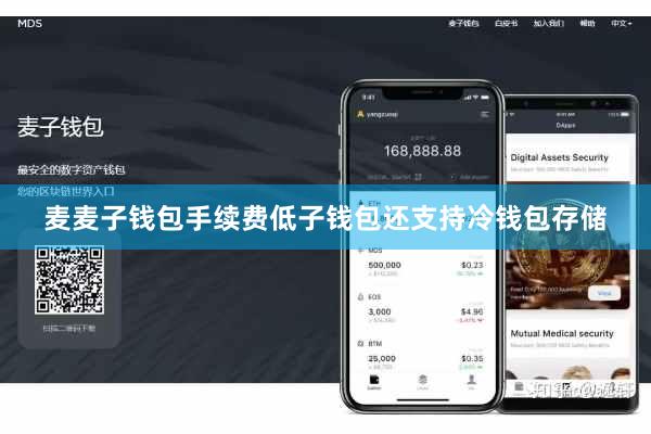麦麦子钱包手续费低子钱包还支持冷钱包存储