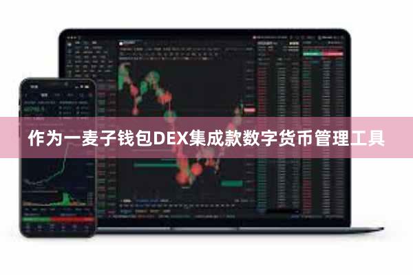 作为一麦子钱包DEX集成款数字货币管理工具