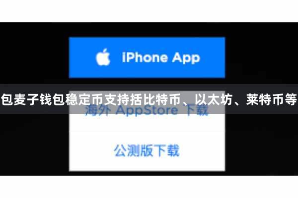 包麦子钱包稳定币支持括比特币、以太坊、莱特币等