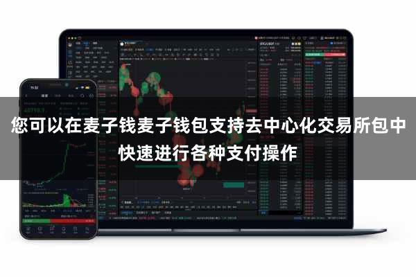 您可以在麦子钱麦子钱包支持去中心化交易所包中快速进行各种支付操作