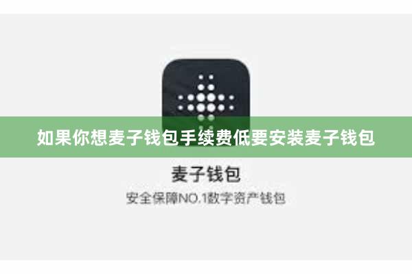 如果你想麦子钱包手续费低要安装麦子钱包