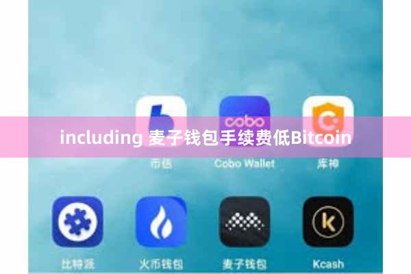 including 麦子钱包手续费低Bitcoin