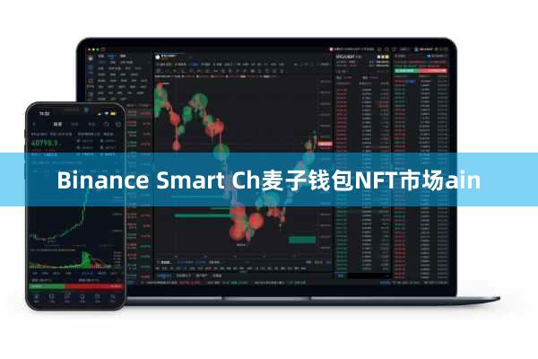 Binance Smart Ch麦子钱包NFT市场ain
