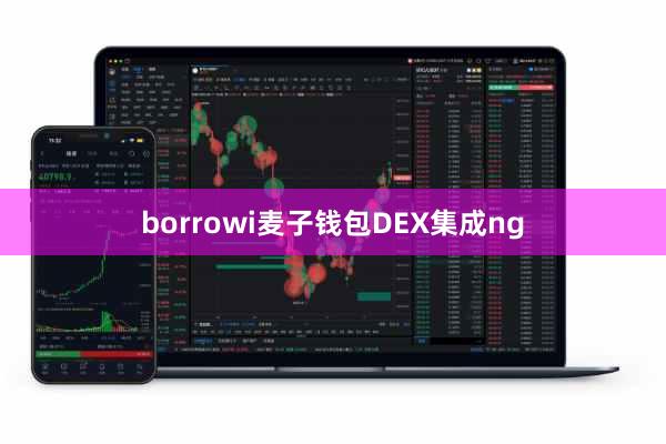 borrowi麦子钱包DEX集成ng