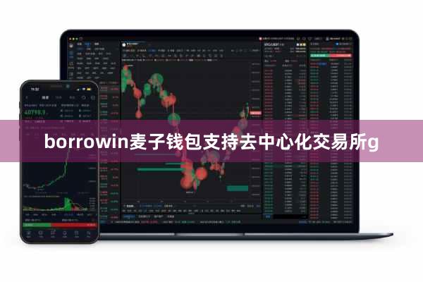 borrowin麦子钱包支持去中心化交易所g