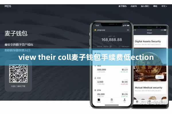 view their coll麦子钱包手续费低ection