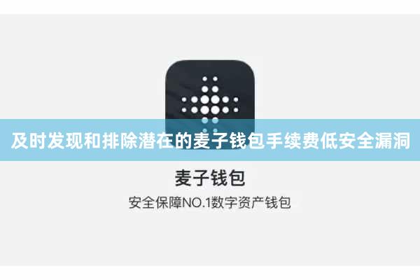 及时发现和排除潜在的麦子钱包手续费低安全漏洞