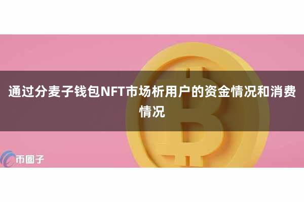 通过分麦子钱包NFT市场析用户的资金情况和消费情况