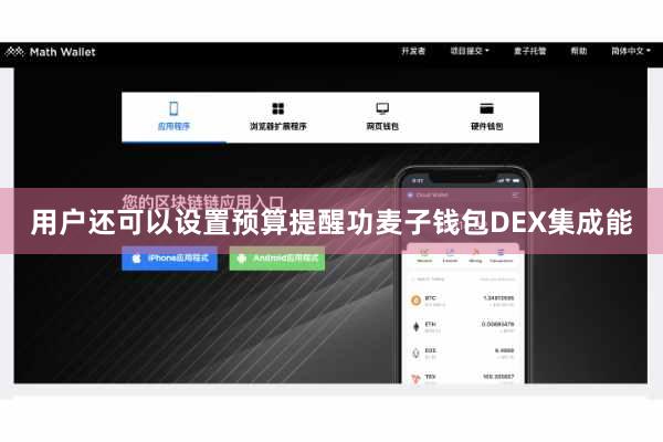 用户还可以设置预算提醒功麦子钱包DEX集成能