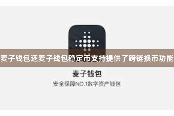 麦子钱包还麦子钱包稳定币支持提供了跨链换币功能