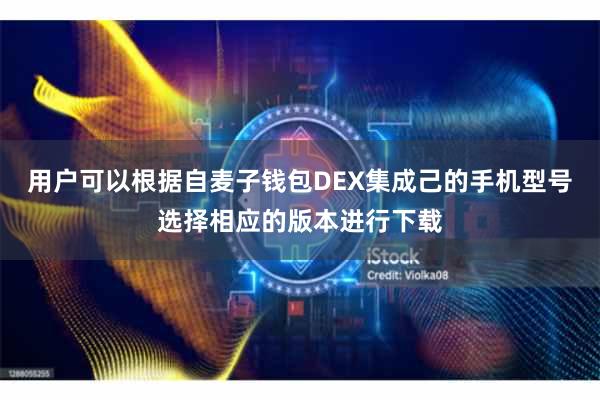 用户可以根据自麦子钱包DEX集成己的手机型号选择相应的版本进行下载