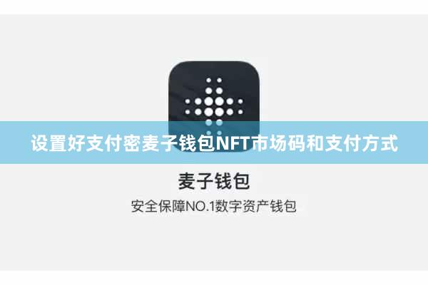 设置好支付密麦子钱包NFT市场码和支付方式