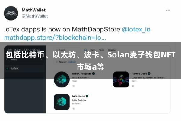 包括比特币、以太坊、波卡、Solan麦子钱包NFT市场a等